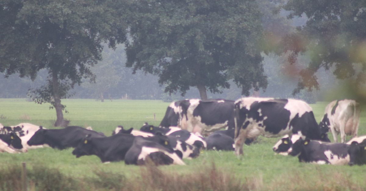 Goede relatie met de boeren en hun land